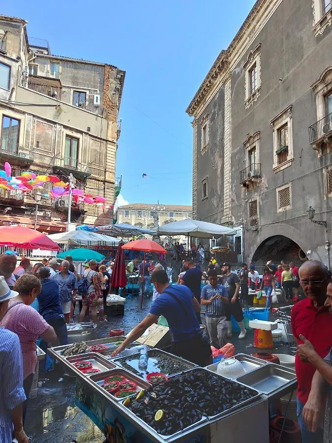 La Mansarda Di Ninni Catania Lejlighed
