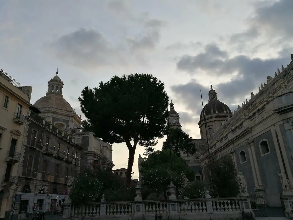 La Mansarda Di Ninni Catania Lejlighed